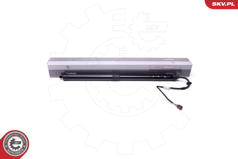 Electric Motor, tailgate